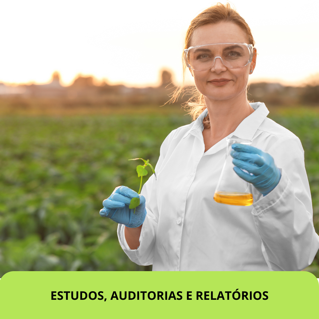 LICENCIAMENTO AMBIENTAL (14).png