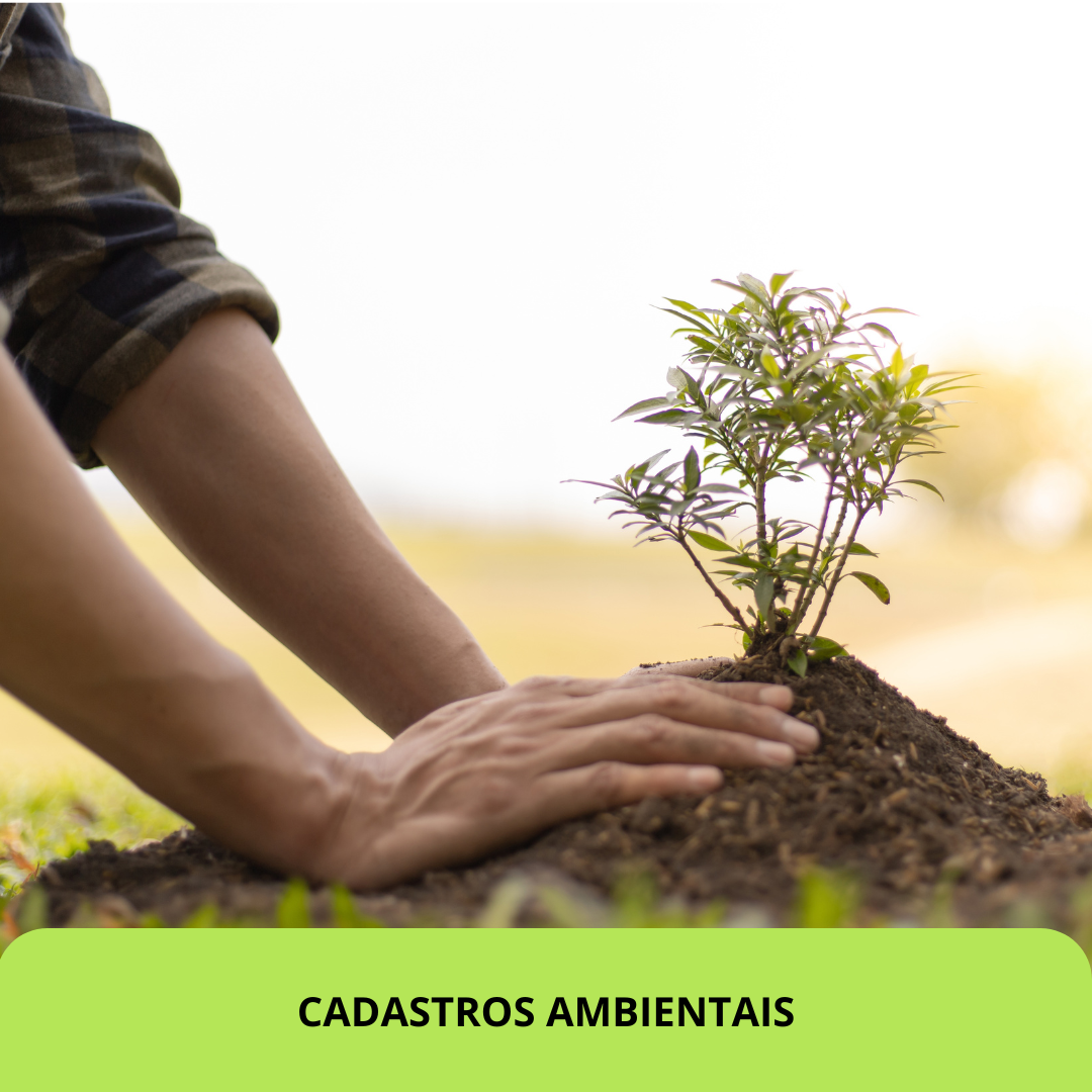 LICENCIAMENTO AMBIENTAL (3).png